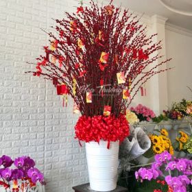 BÌNH HOA NỤ TẦM XUÂN CHÚC MỪNG - ĐÓN XUÂN SANG - HT-0108