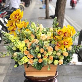 GIỎ HOA CHÚC MỪNG - KHÁT VỌNG - HT-0110